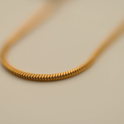 Snake | Halsband - Guld